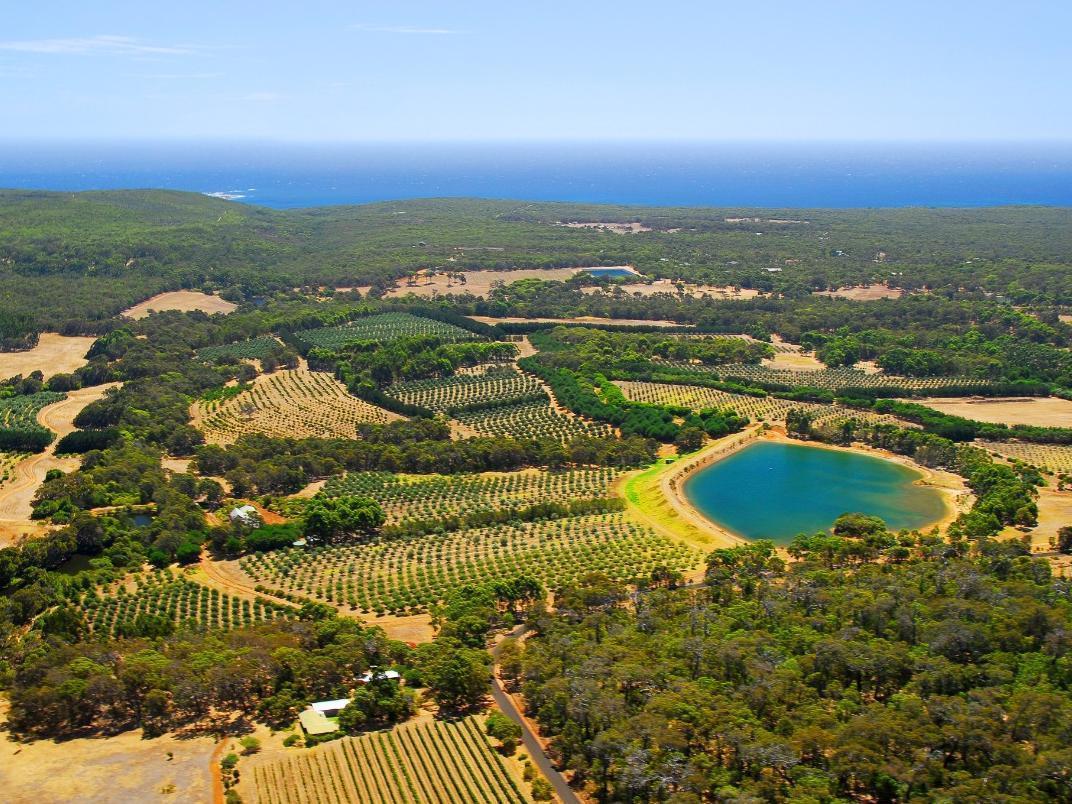 Harmony Forest & Side Resort 4*