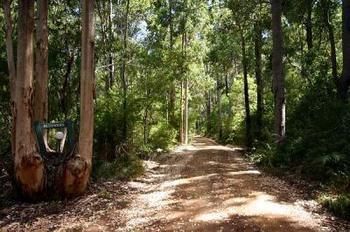 Resort Harmony Forest & Side 4*