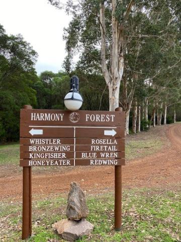 Harmony Forest & Side 4*
